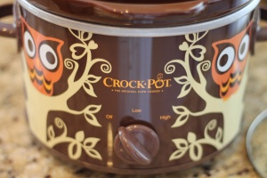 Crock-Pot Chicken Stroganoff