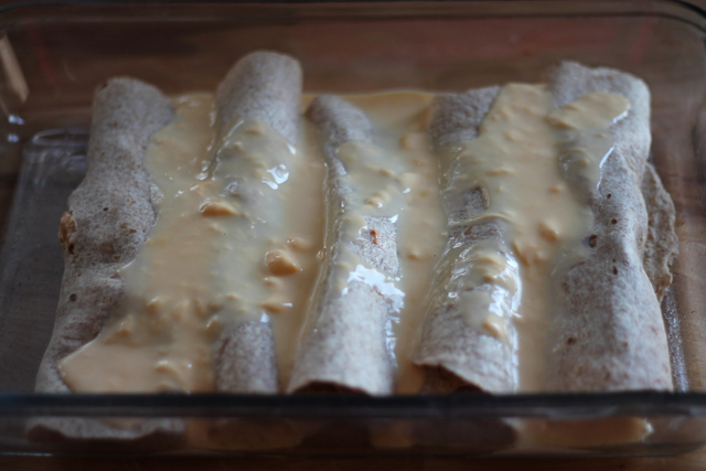 Cheesy Chicken Enchiladas10