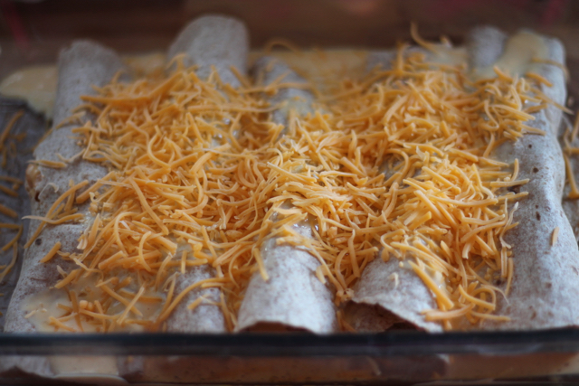 Cheesy Chicken Enchiladas11