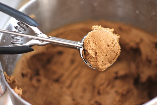 Spiced Molasses Cookies