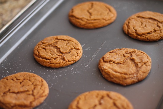 Spiced Molasses Cookies