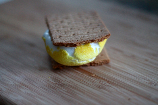 Easter S'mores - 7