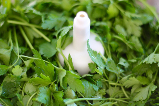 Parsley Ice Cubes