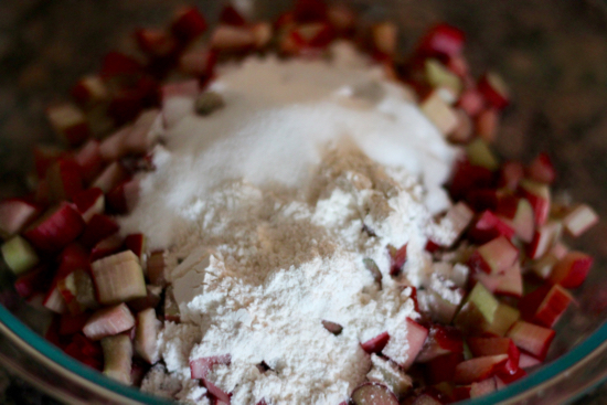 Rhubarb Crisp - 10