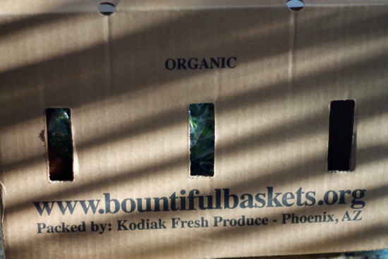 Bountiful Baskets - 1