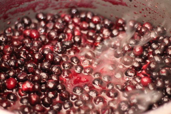 Spiced Blueberry Jam