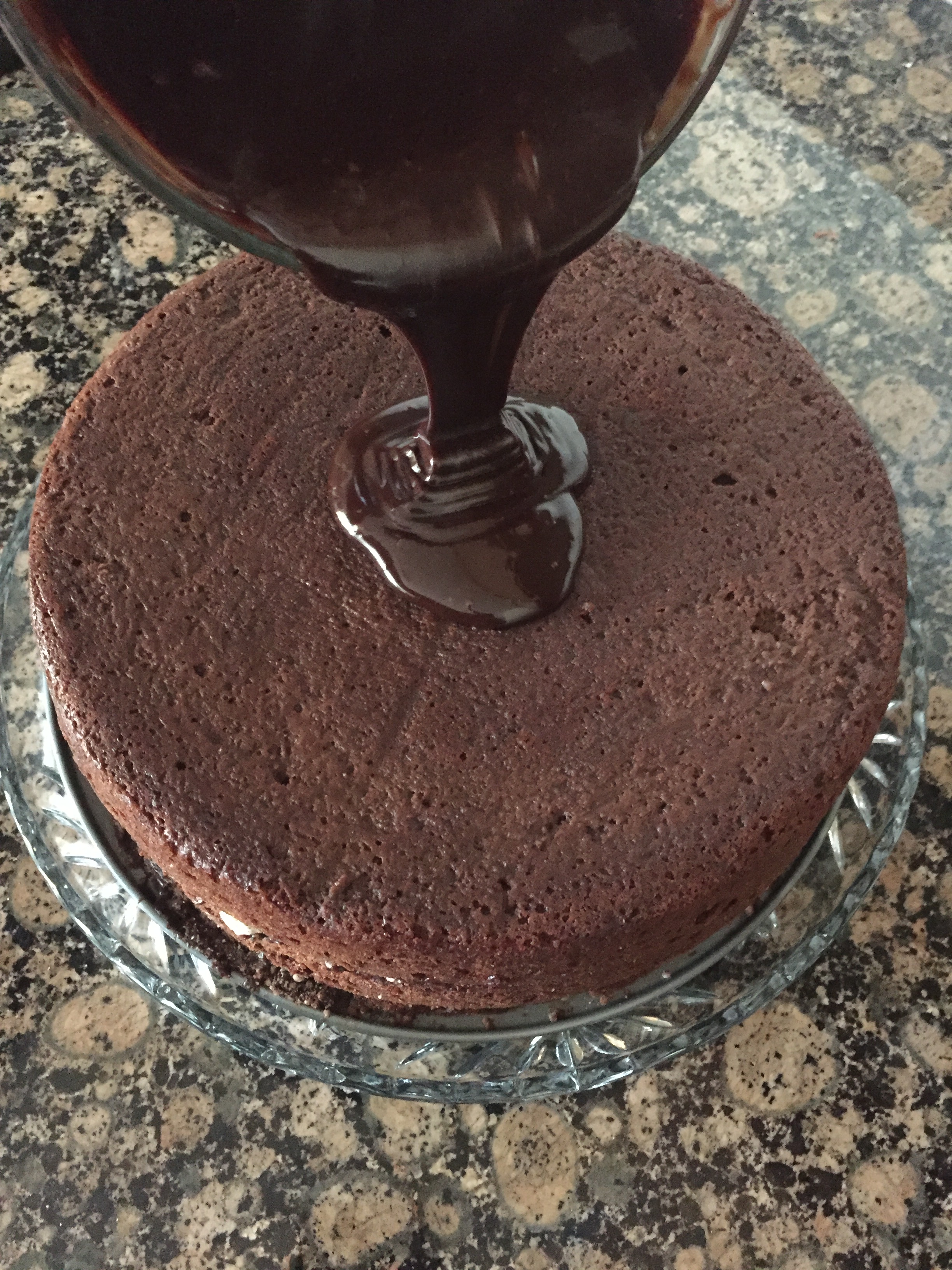 Chocolate Malt Cake 
