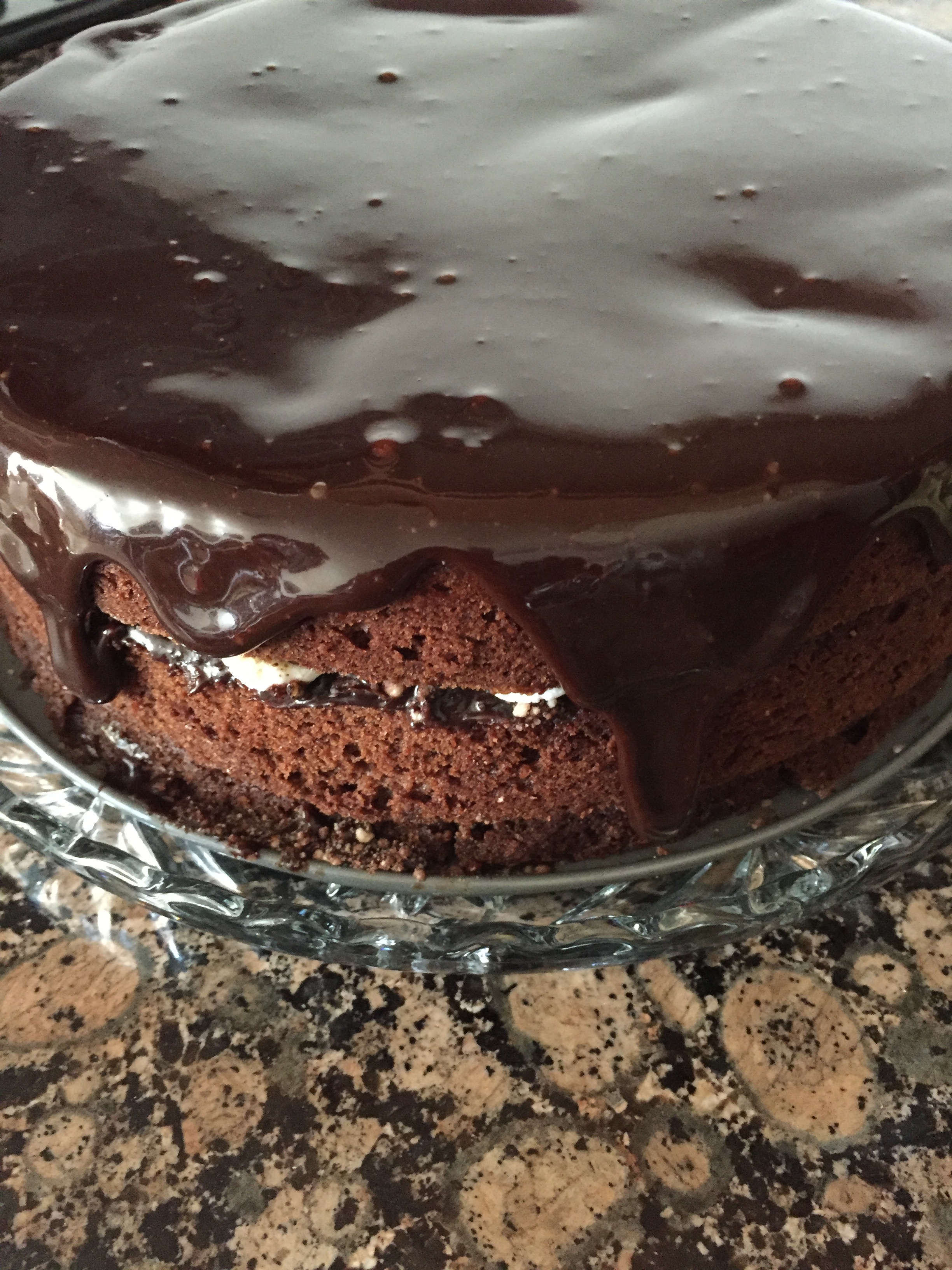 Chocolate Malt Cake 